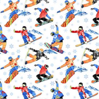 Winter Sports Snowboarding- 27239-10 Fabrics Northcott   