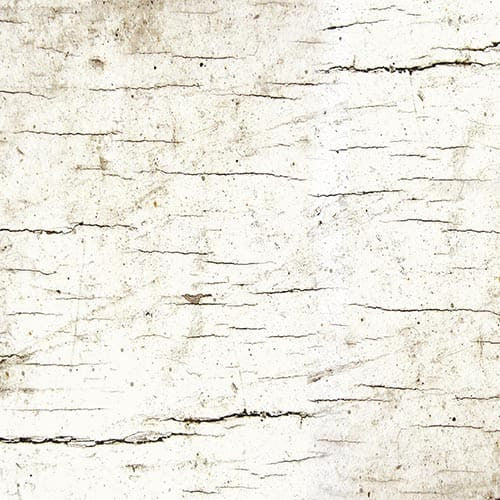 Moose Lodge Wood Texture Birch 6617-44 Fabrics Henry Glass   