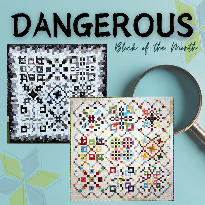 Dangerous - Block of the Month Program (PDF Download), quilt pattern