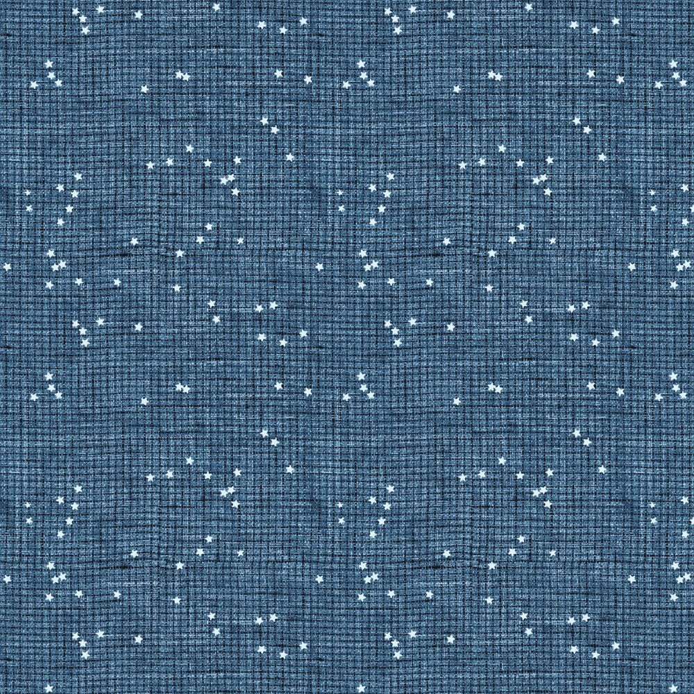 Stash Check Blue 92023-42 Fabrics Figo   