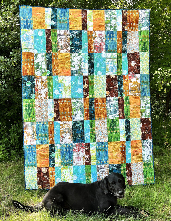 Koby, a finished quilt from the quilt along